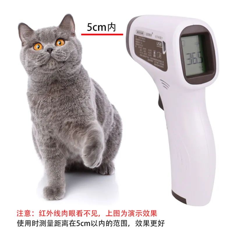 Termometre Veteriner Ekipmanı  - Instant Read Thermometer incelemesi ve fiyatı